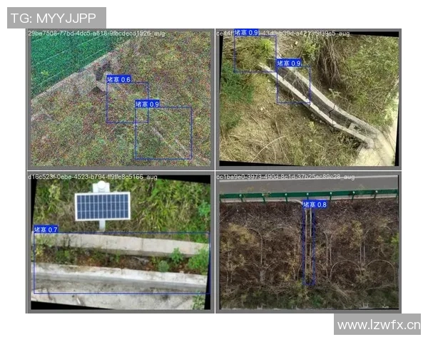 成都极限运动队耐力表现数据分析与训练策略探讨